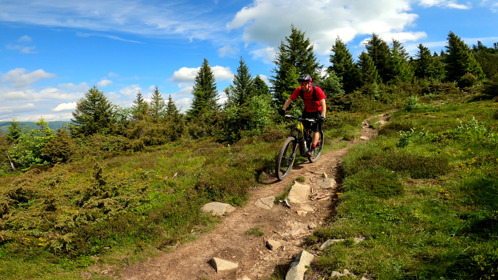 vététiste en descente sur sentier vosgien